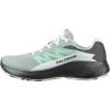 Green Milieu/Asphalt/Clearly Aqua