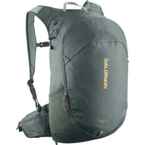 Salomon Unisex Trailblazer 10 Wrought Iron/Sedona Sage, NS(Urban Chic – Green Occasion)